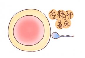 受精卵著床有什么感覺