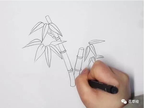 竹子簡筆畫的畫法教程圖片