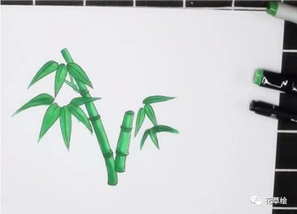 竹子簡筆畫的畫法教程圖片