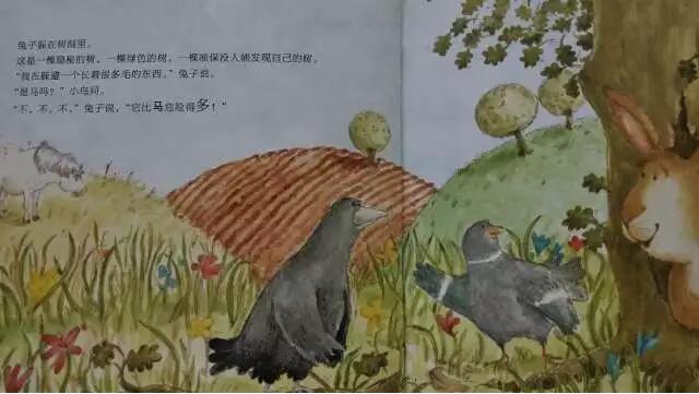 繪本故事《快跑，兔子快跑》