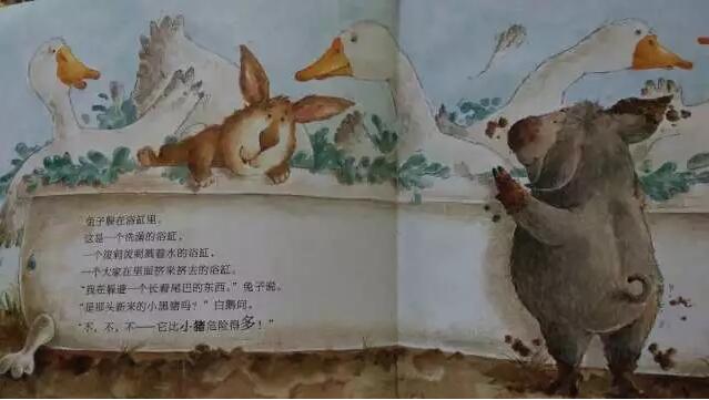 繪本故事《快跑，兔子快跑》