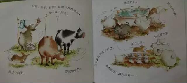 繪本故事《快跑，兔子快跑》