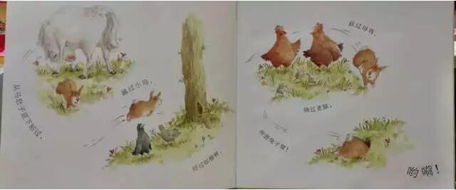 繪本故事《快跑，兔子快跑》