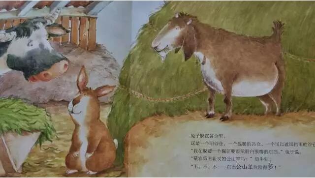 繪本故事《快跑，兔子快跑》