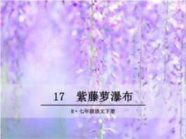 《紫藤蘿瀑布》教案教學(xué)設(shè)計(jì)