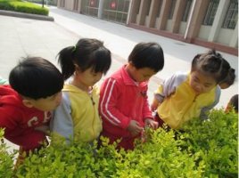 小班語言教案《彩色的夢》