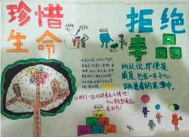 6月26日國際禁毒日手抄報內(nèi)容圖片