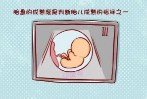 胎盤成熟度