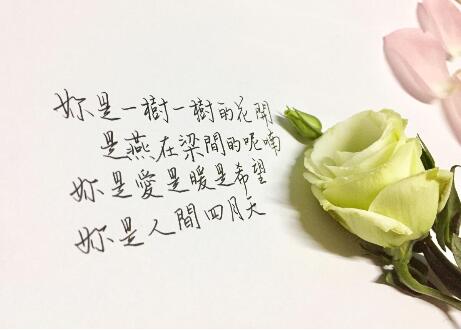 林徽因《你是人間的四月天》原文及賞析