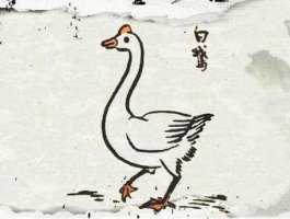 《白鵝》教案教學(xué)設(shè)計(jì)及反思