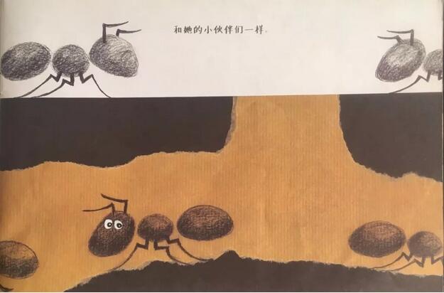 螞蟻的故事