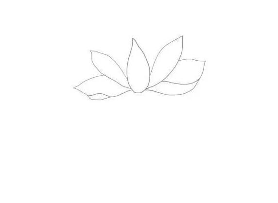 夏日荷花簡筆畫圖片教程