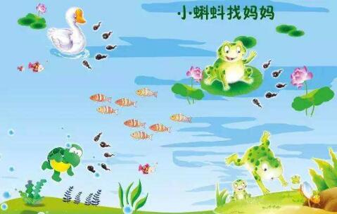 幼兒園《小蝌蚪找媽媽的故事》教案