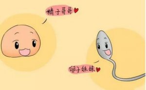 同房后幾天能測出懷孕