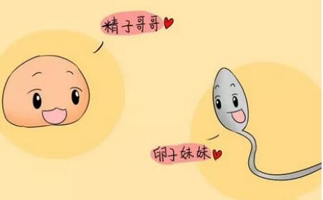 同房后幾天能測出懷孕