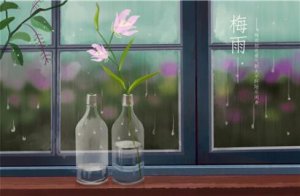 2020年梅雨季節(jié)是什么時間
