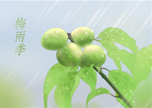 2020年梅雨季節(jié)是什么時(shí)間