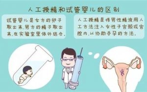 人工受精和試管嬰兒的區(qū)別