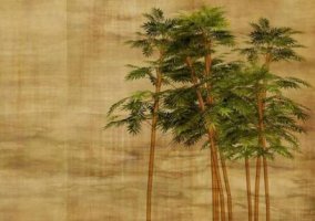 庭竹劉禹錫古詩(shī)帶拼音版