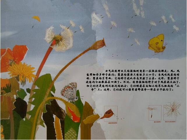 一粒種子的旅行