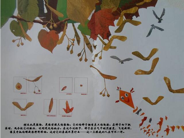 一粒種子的旅行
