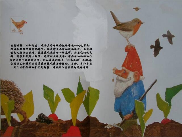 一粒種子的旅行