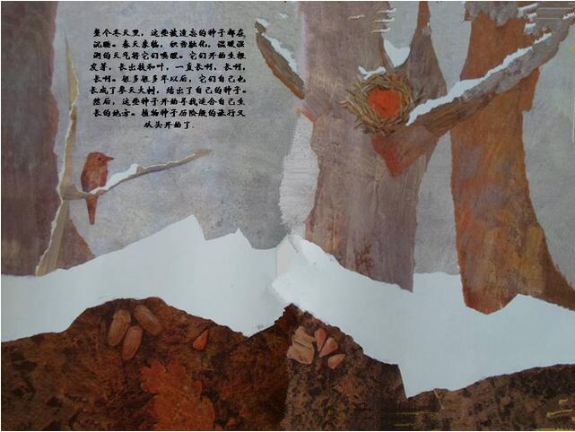 一粒種子的旅行