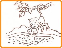 小猴子撈月亮的故事簡(jiǎn)筆畫(huà)教程圖片