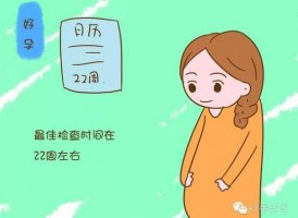 四維彩超的最佳檢查時(shí)間