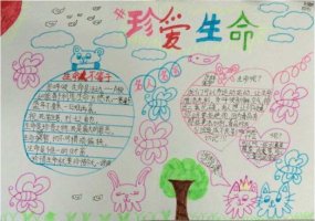 珍愛生命手抄報內(nèi)容圖片簡單又漂亮