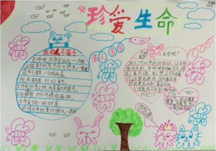 珍愛生命手抄報內容圖片簡單又漂亮