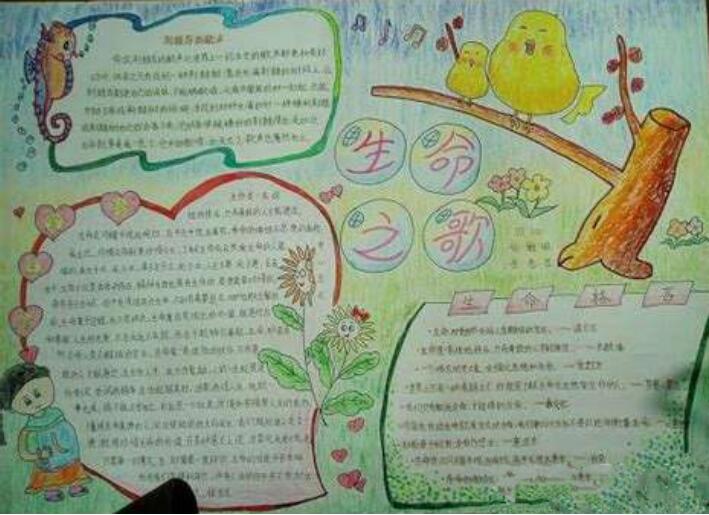 珍愛生命手抄報內容圖片簡單又漂亮