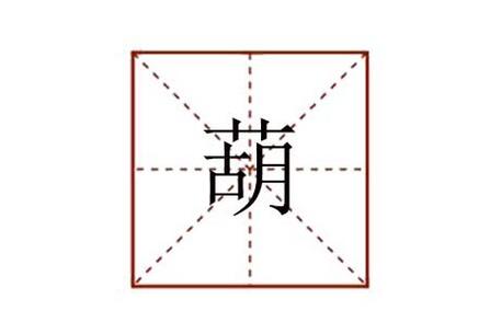 葫組詞