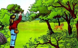 小獅子愛爾莎的故事