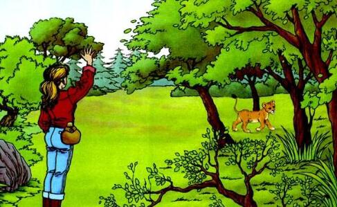 小獅子愛爾莎的故事