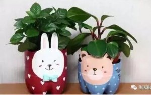礦泉水瓶手工簡易好看：小兔子塑料瓶花盆