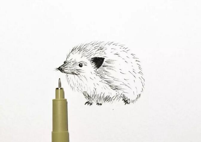 偏寫實(shí)的小動(dòng)物簡(jiǎn)筆畫