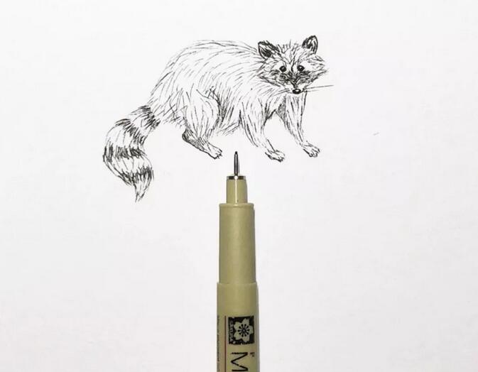 偏寫實(shí)的小動(dòng)物簡(jiǎn)筆畫