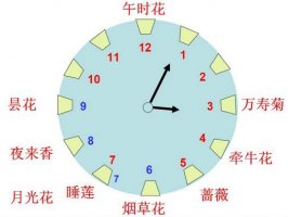 花鐘教案教學(xué)設(shè)計