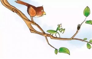 螳螂捕蟬黃雀在后的意思和故事