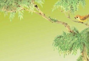 《螳螂捕蟬》教案教學(xué)設(shè)計(jì)