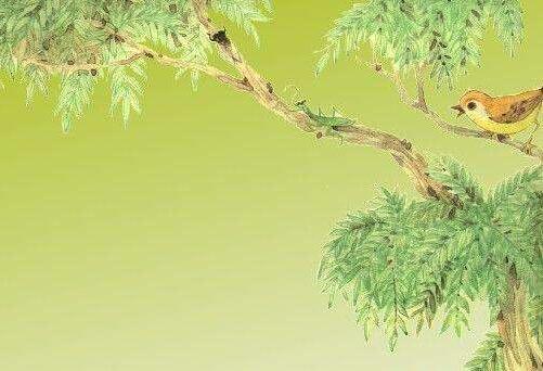 《螳螂捕蟬》教案教學(xué)設(shè)計(jì)