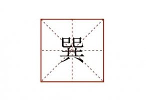 巽怎么讀