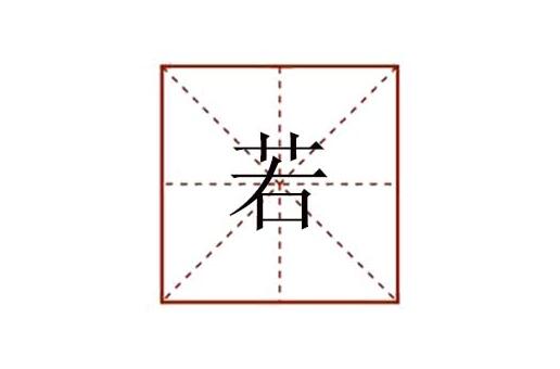 若組詞有哪些