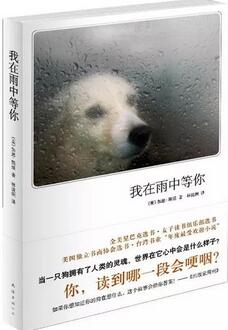 負(fù)能量爆棚的時(shí)候，不妨看這5本書治愈心靈
