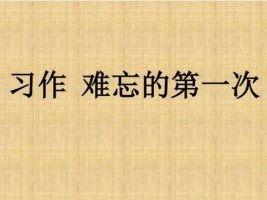 難忘的第一次作文500字
