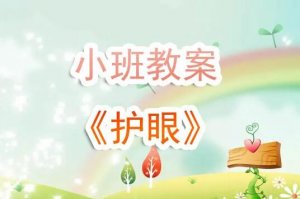 幼兒園小班《護(hù)眼》教案