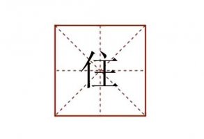 住組詞有哪些