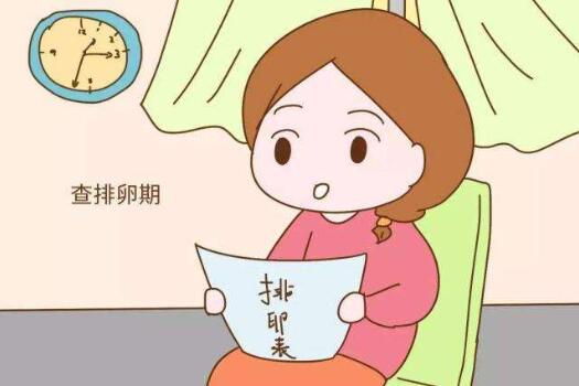 排卵期應(yīng)該怎么算