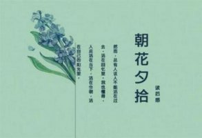朝花夕拾讀后感600字